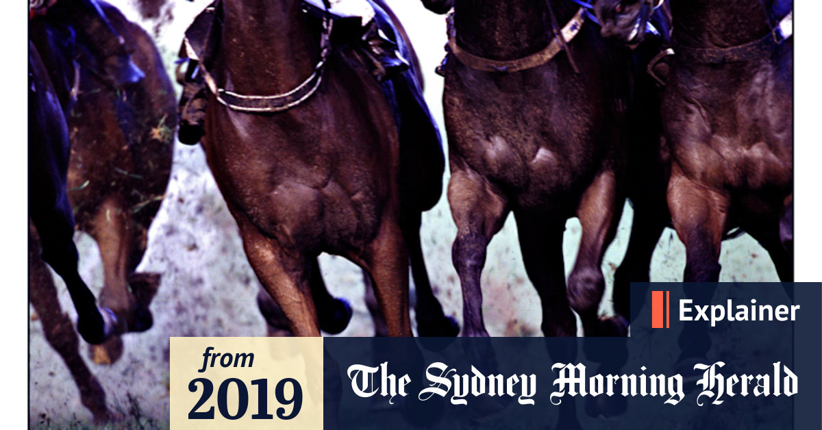 How might horse racing be cruel?